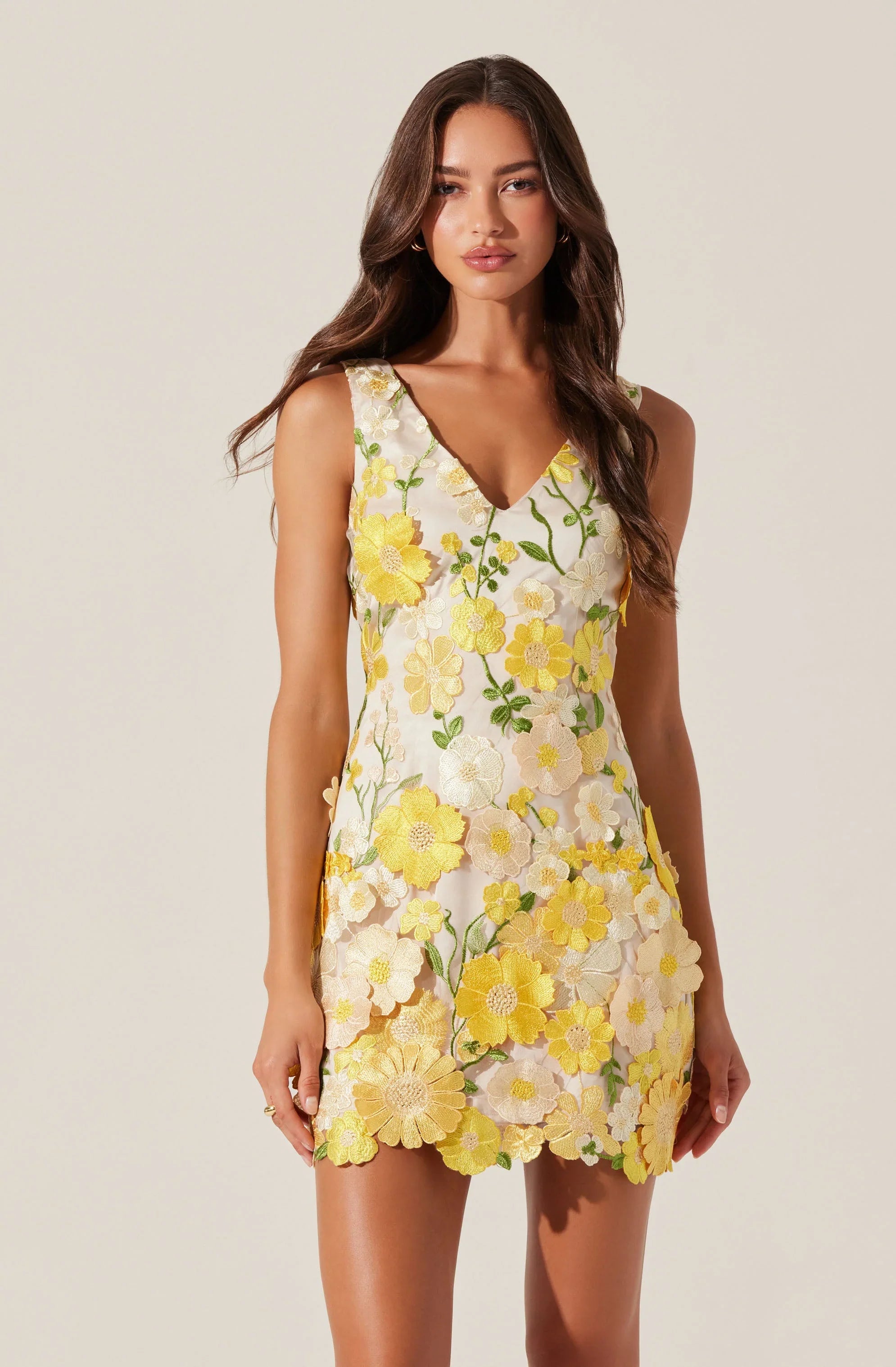Lbruh Aisha Floral Appliqué Mini Dress