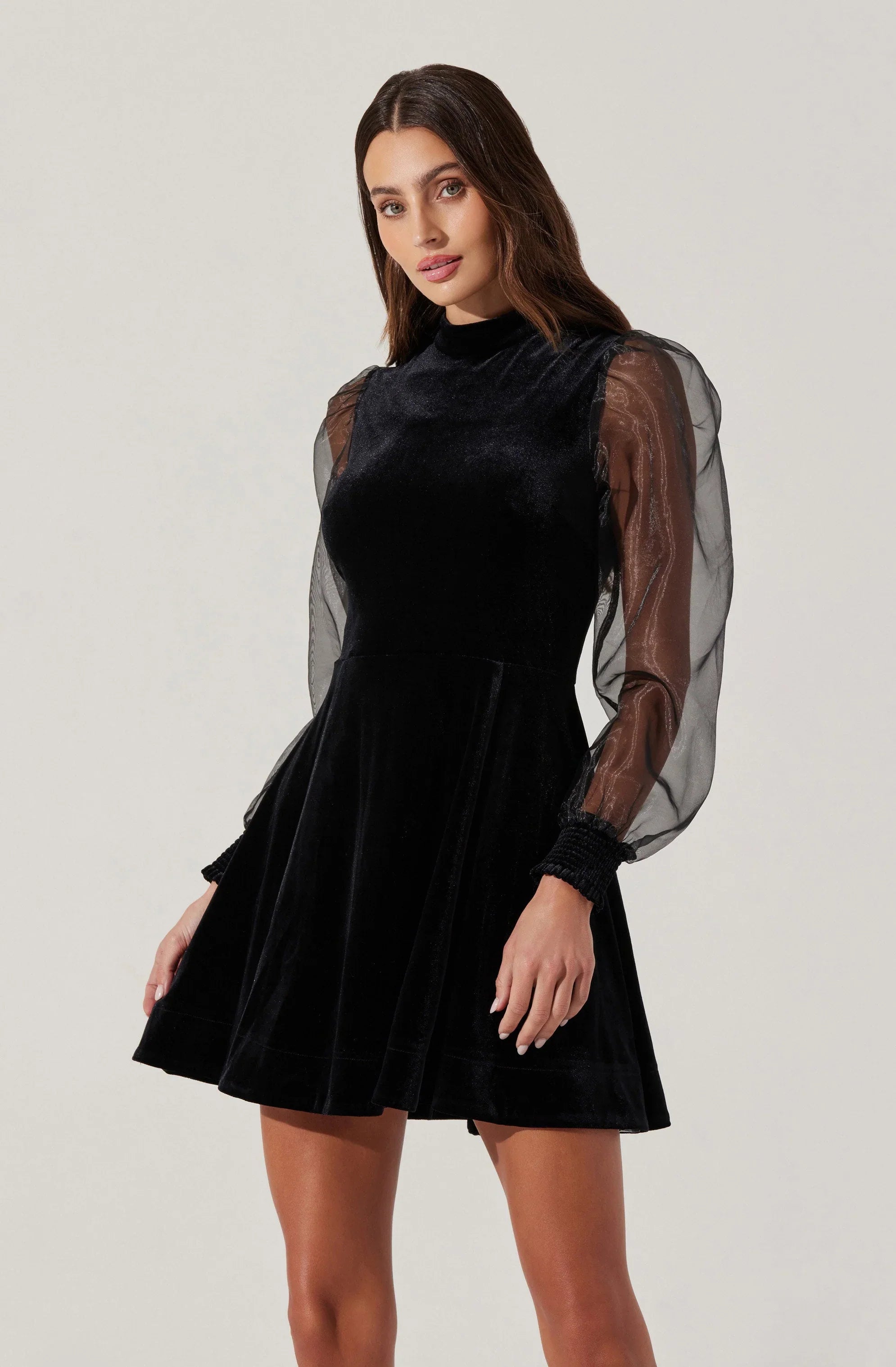 Lbruh Velvet Sheer Puff Sleeve Dress