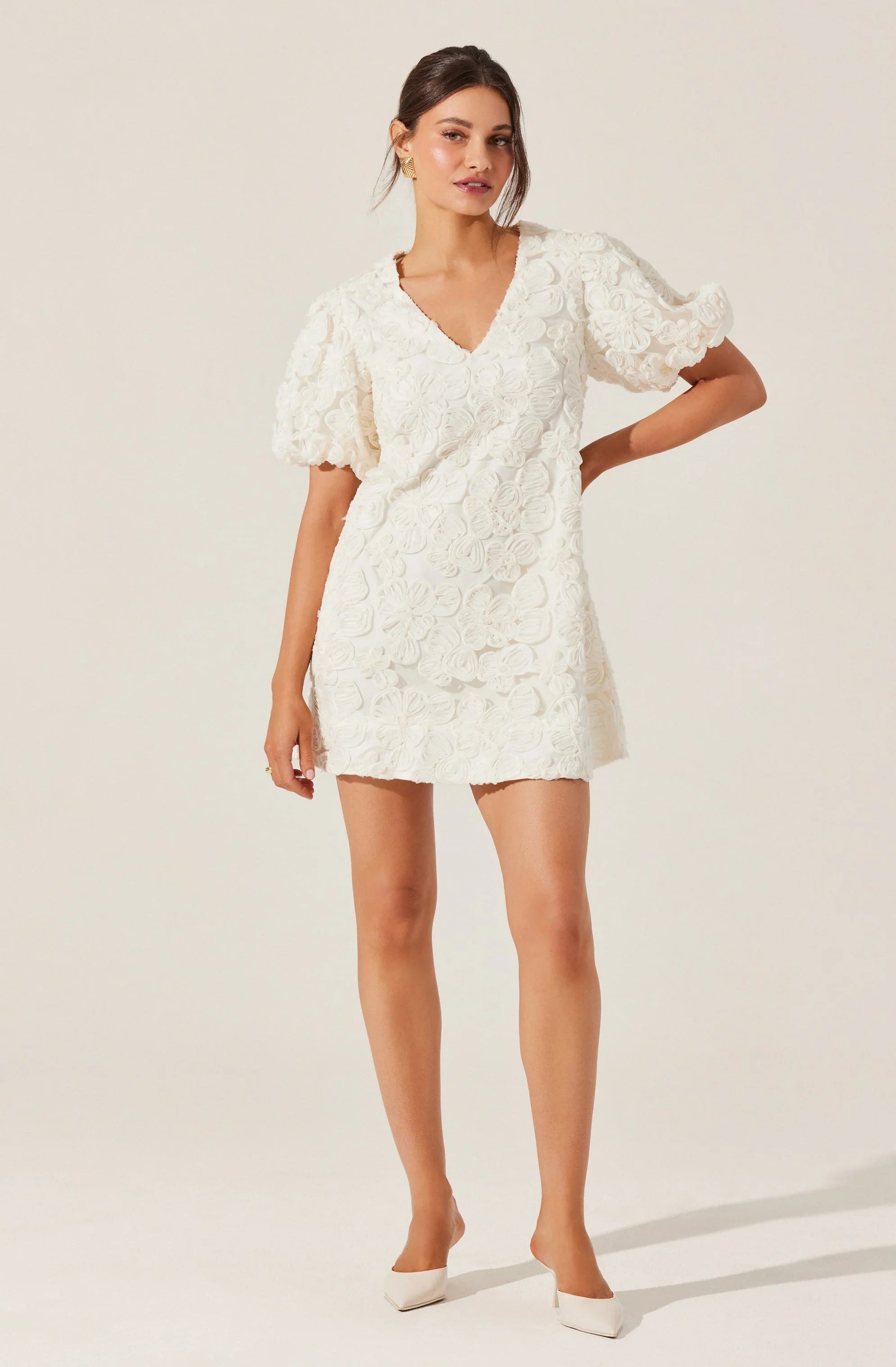 Lbruh Lakelyn Floral Embroidered Mini Dress